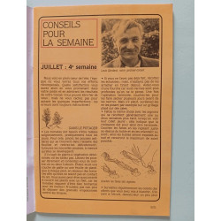 Guide Du Potager N° 19