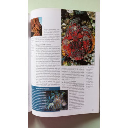 Les prodigieux secrets de la nature