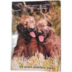 Le calendrier des animaux 1999