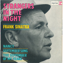 Strangers In The Night