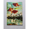 Le petit livre des poissons rouges
