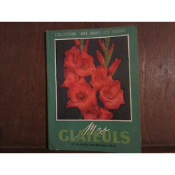 MES GLAIEULS ET PLANTES BULBEUSES D'ETE