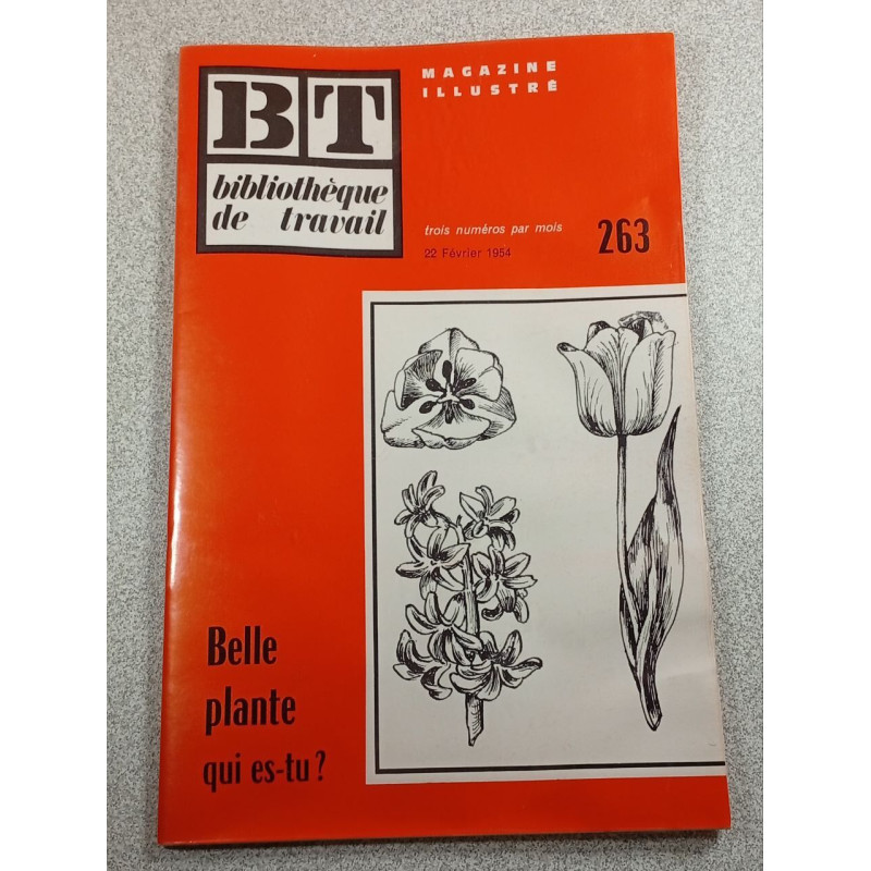 BT bibliothèque de travail n°263