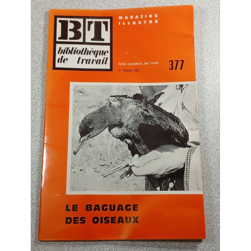 BT bibliothèque de travail n°393