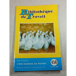 BT bibliothèque de travail n°458