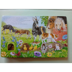 Cherche-moi! Où se cachent les chatons