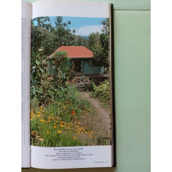 L'ile de la reunion aujourd'hui