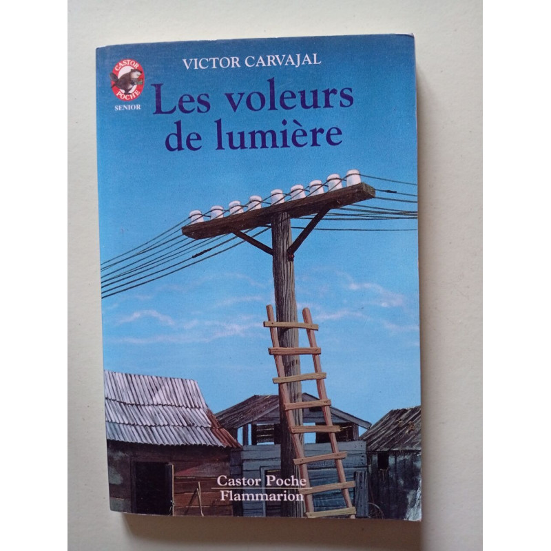 Voleurs de lumiere (Les): [nouvelles