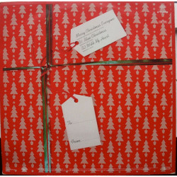 Merry Christmas Everyone