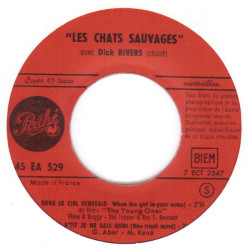 Sous Le Ciel Écossais