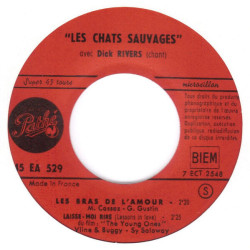 Sous Le Ciel Écossais