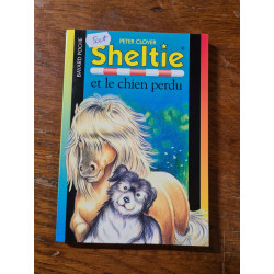 Sheltie et le chien perdu