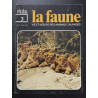 La faune nº 3