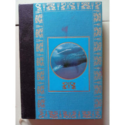 Nos amies les baleines