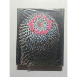 les plantes grasses
