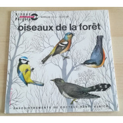 Oiseaux De La Forêt
