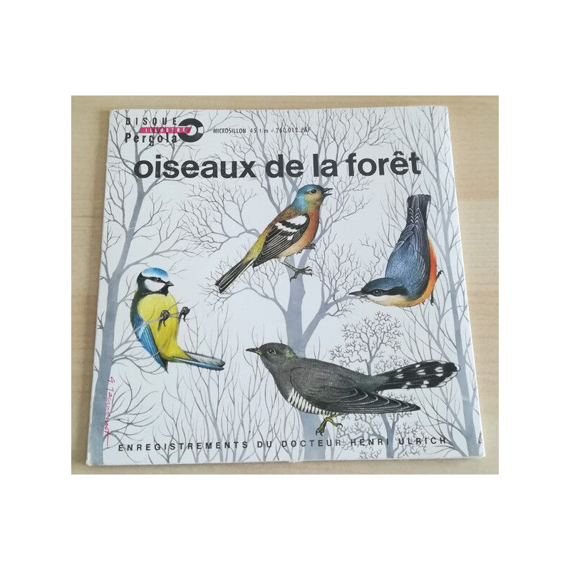 Oiseaux De La Forêt