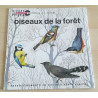 Oiseaux De La Forêt