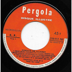 Oiseaux De La Forêt