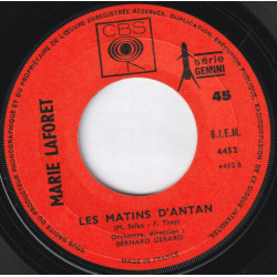 Mes Bouquets D'asphodeles