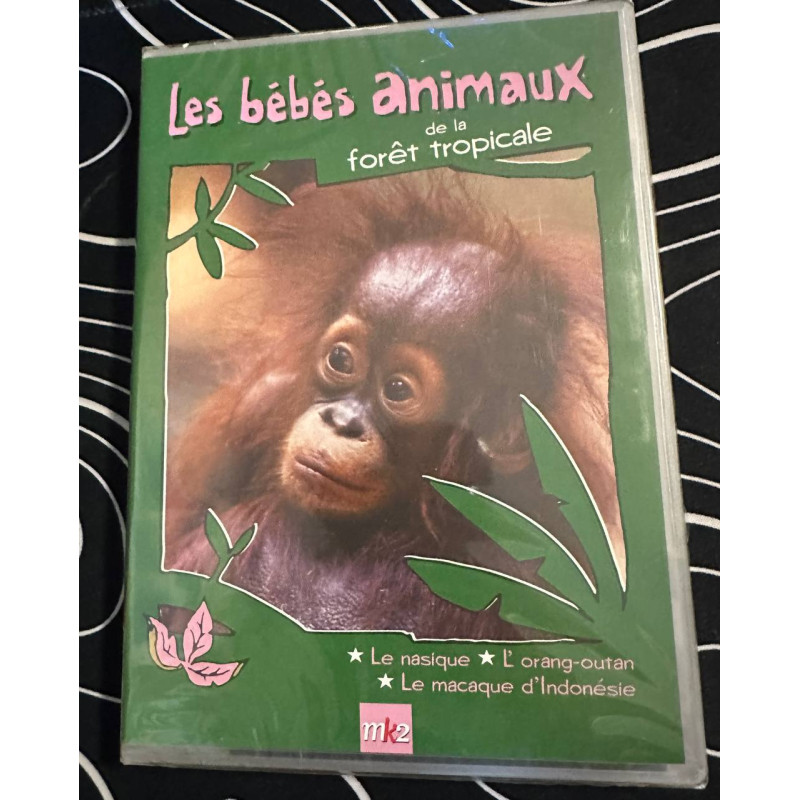 Les bébés animaux - Neuf sous blister