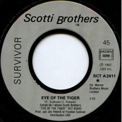 Eye Of The Tiger (Theme From Rocky III)