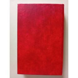 Cinq semaines en ballon