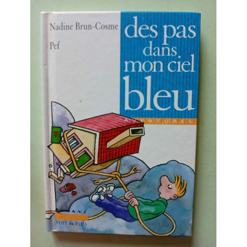 DES PAS DANS MON CIEL BLEU