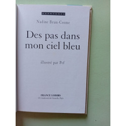 DES PAS DANS MON CIEL BLEU