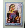 Picasso. Le génie du siècle