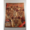 Terre Sauvage n°19