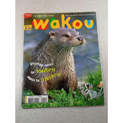 Wakou n°2004