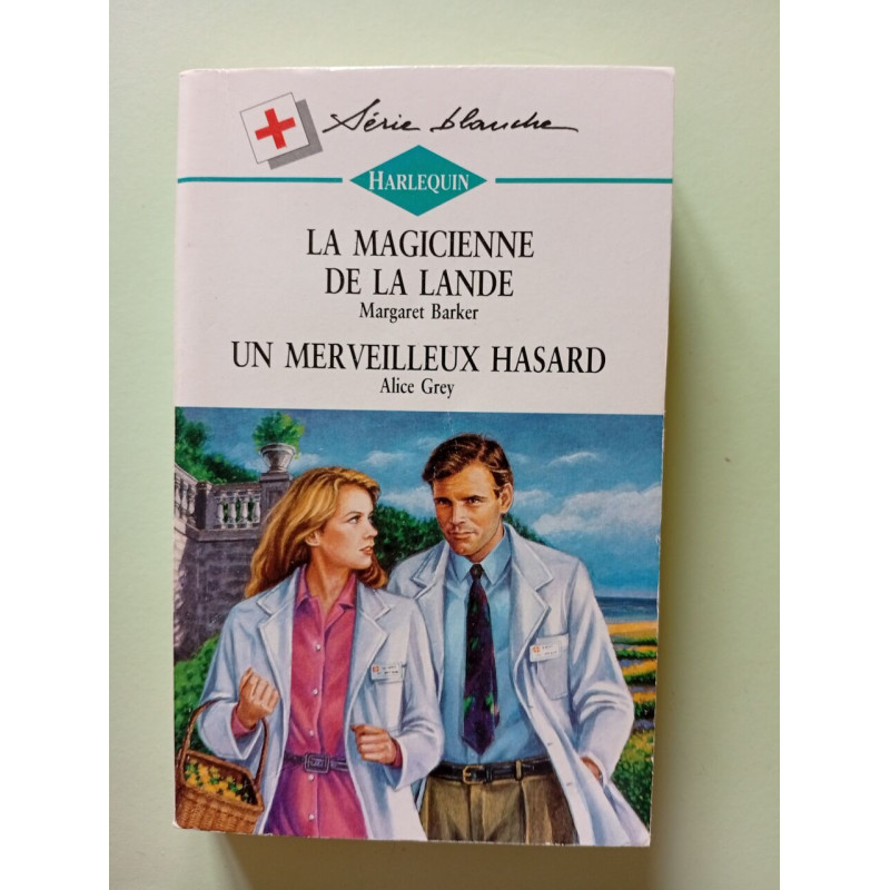La magicienne de la lande - Un merveilleux hasard