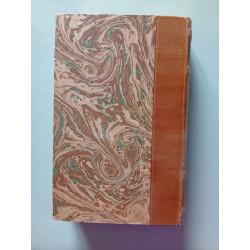 La vie et les aventures personnelles de David Copperfield le jeune