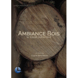 Ambiance Bois le travail autrement - Neuf sous blister