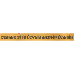 Comme Si Tu Devais Mourir Demain
