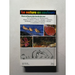 Flore et faune des bords de mer
