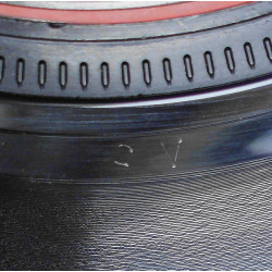 Cum On Feel The Noize