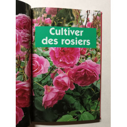 Roses et rosiers