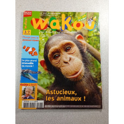 Wakou n°247