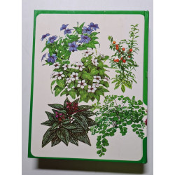 Guide des plantes d'intérieur