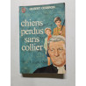 Chiens perdus sans collier