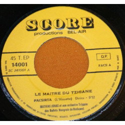 Le Maitre Du Tzigane