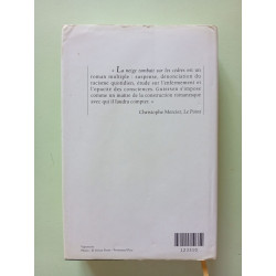 La neige tombait sur les cèdres