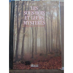 Les sous bois et leurs mystères