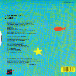 Toi Mon Toit