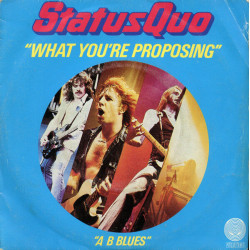 What You're Proposing