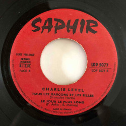 Faits Pour S'Aimer (Desafinado)