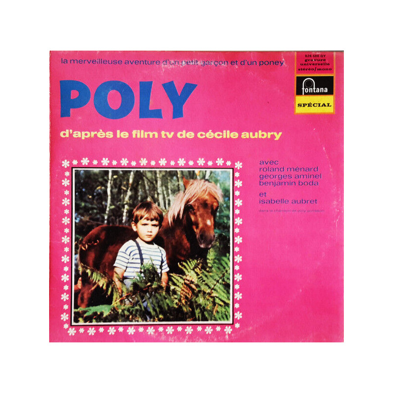 La Merveilleuse Aventure D'un Petit Garçon Et D'un Poney - Poly