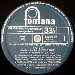 La Merveilleuse Aventure D'un Petit Garçon Et D'un Poney - Poly